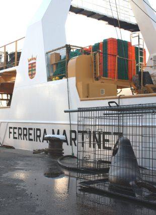 A xente do mar que faena no Gran Sol colaboran co CEMMA