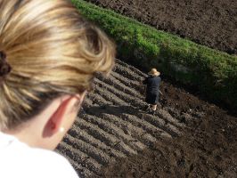 Traballando no campo / Flickr: un_barcelones