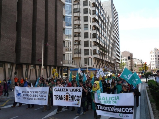 Marcha contra os transxénicos